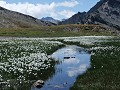  col Agniel, linaigrette, paysage, Hautes Alpes, Alpes, montagne 