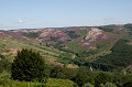  Le Caroux, paysage, Hérault, Massif Central, montagne, France 